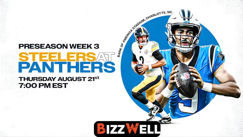 pittsburgh steelers vs carolina panthers match player stats