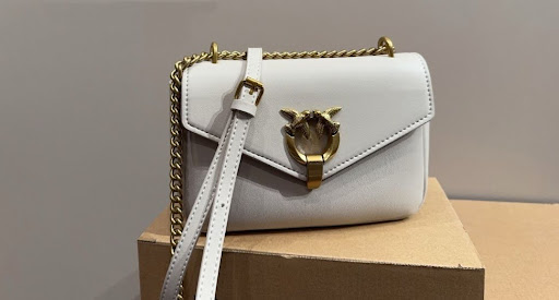 Fallon and the Pinko Bag at the Gym