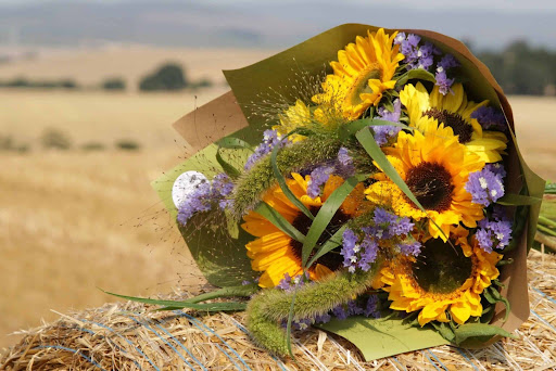 Valentine’s Day Flowers in Mississauga: What to Order and How to Get It Right